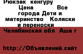 Рюкзак -кенгуру Baby Bjorn  › Цена ­ 2 000 - Все города Дети и материнство » Коляски и переноски   . Челябинская обл.,Аша г.